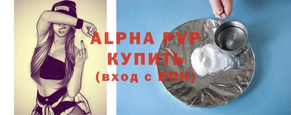 шишки Среднеколымск