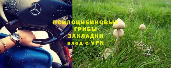 крисы Михайловск