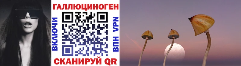 сайты даркнета Telegram  Суздаль  Псилоцибиновые грибы мухоморы 